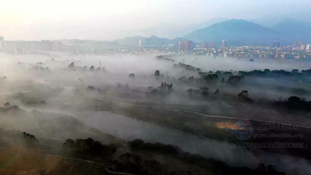 《虎虎虎》讲了什么故事?如何评价?-专业问答网站,提供精准解答